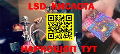 шишки Абакан