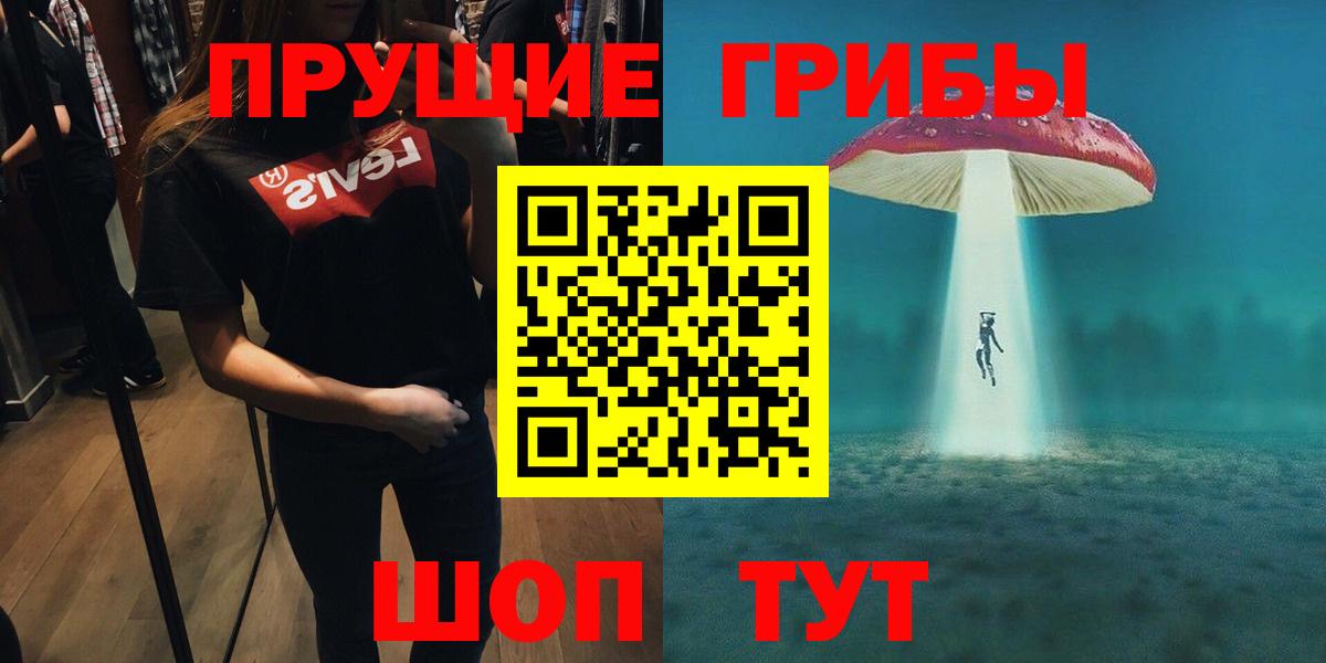 Галлюциногенные грибы Psilocybine cubensis Архангельск