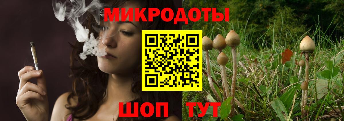 Архангельск  Галлюциногенные грибы прущие грибы  Вход с VPN 